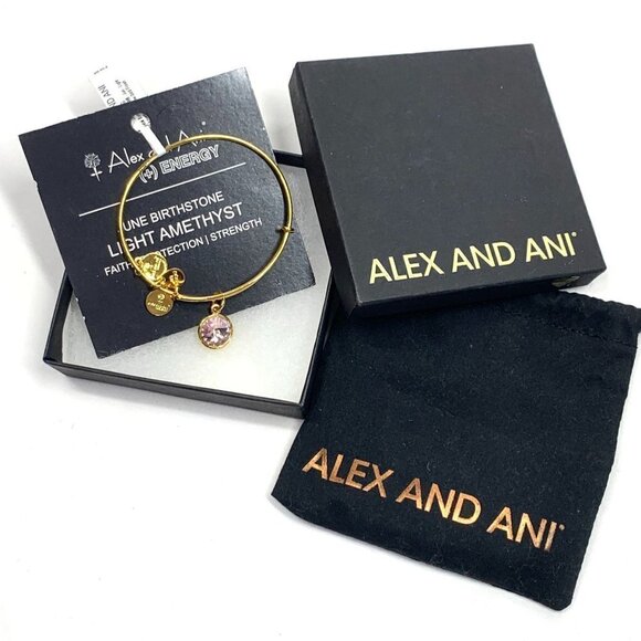 Alex and Ani Light Amethyst June Birthstone Charm Bracelet Yellow Gold Finish - Picture 2 of 5